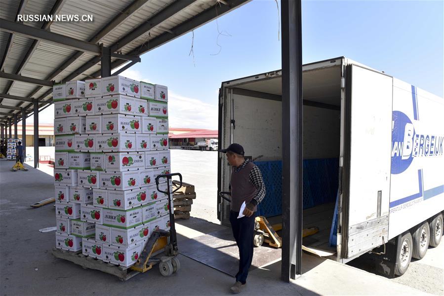 В первом полугодии 2017 г. экспорт фруктов и овощей через КПП Бакту составил около 30 тыс. тонн