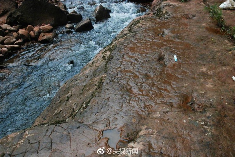 В отмели реки в Китае были обнаружены следы динозавров, оставленных ими 100 млн лет назад