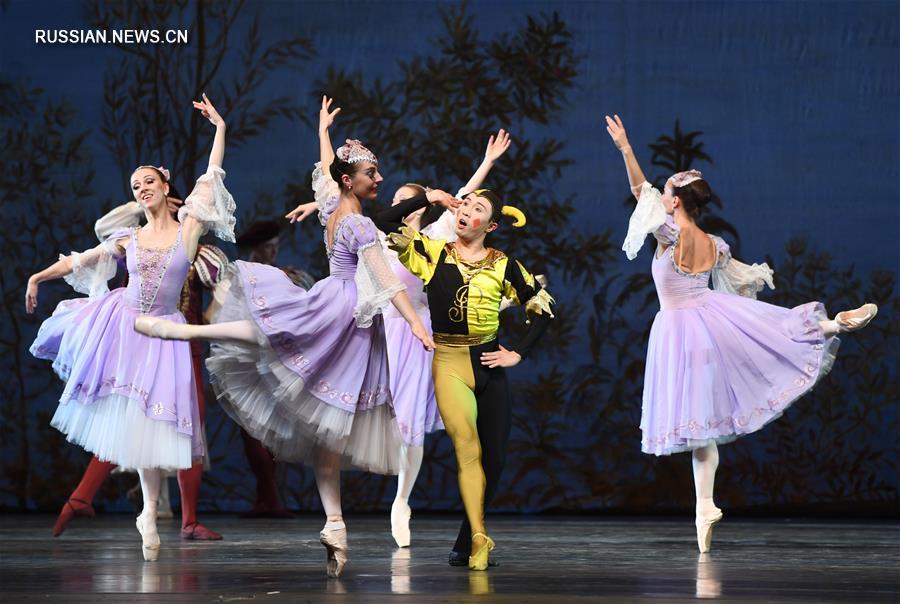 Харьковский театр оперы и балета дал спектакль 'Лебединое озеро' в Синьцзяне
