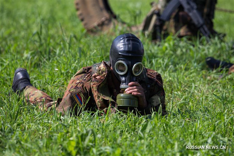 АРМИ-2017 -- Третий этап конкурса 'Отличники войсковой разведки' проходит под Новосибирском