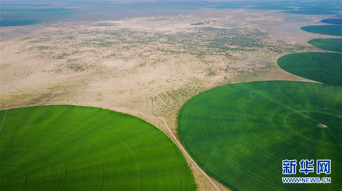 «Зеленное море» на песчаной отмели Хорчин