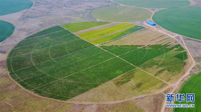 «Зеленное море» на песчаной отмели Хорчин