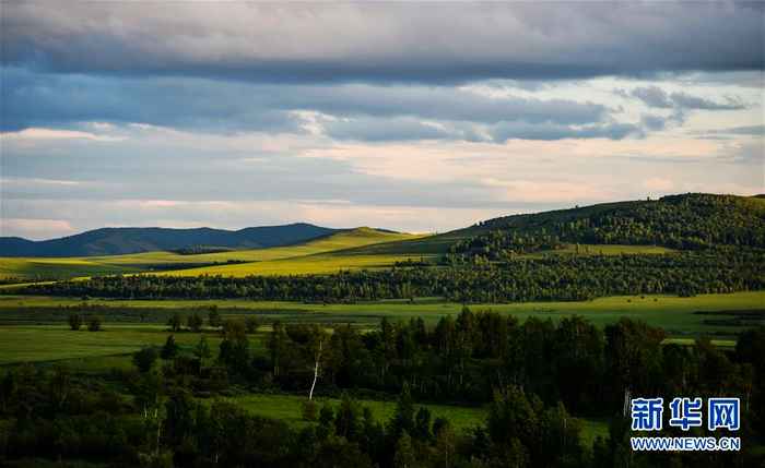 «Зеленное море» на песчаной отмели Хорчин