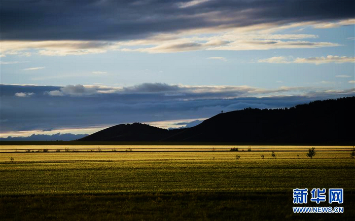 «Зеленное море» на песчаной отмели Хорчин