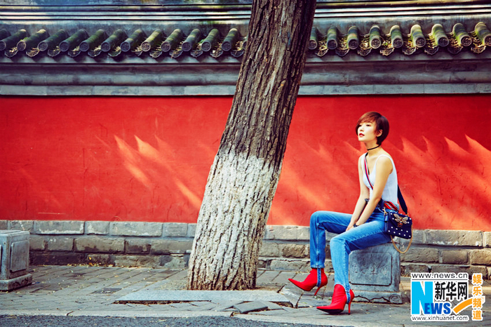 Красотка Ван Лодань