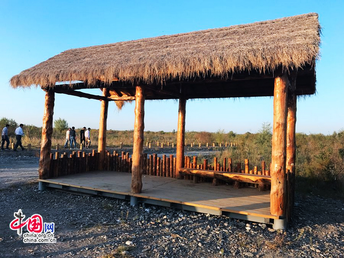 Красоты Синьцзяна, которые нельзя пропустить: Государственный болотный парк в уезде Манас