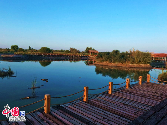 Красоты Синьцзяна, которые нельзя пропустить: Государственный болотный парк в уезде Манас