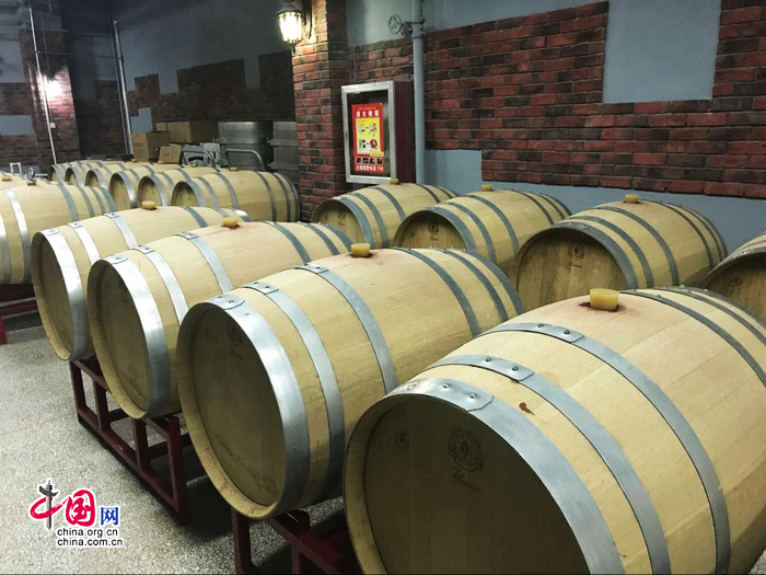 Винодельня Сянхай: развитие традиций виноделия, творческий дух и создание бренда «Шелковый путь»