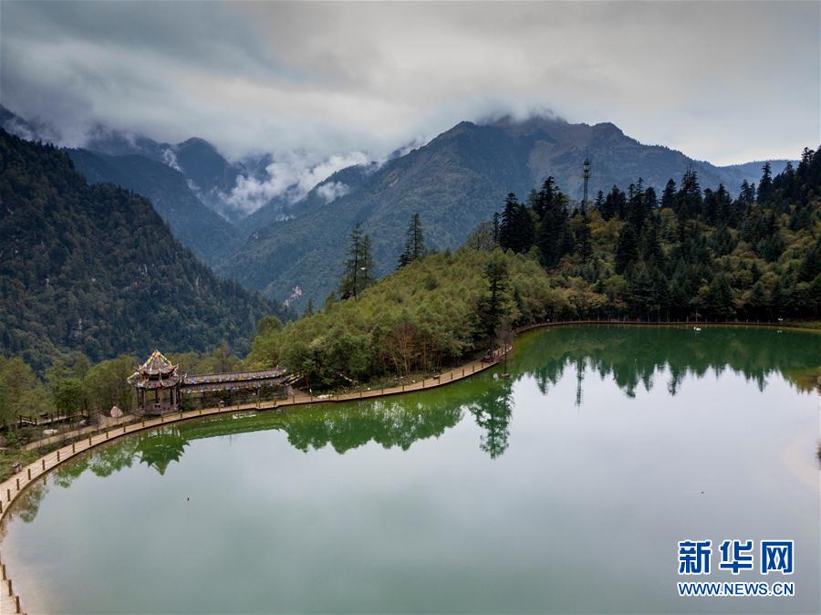 Золотой осенью красивые пейзажи в национальном лесопарке Гуаньэгоу, который находится в уезде Данчан г. Луннань, пров. Ганьсу, привлекают многих туристов.