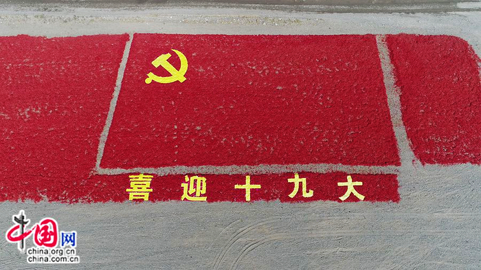 [Радостно встречая 19-й съезд КПК] Картина из красного перца: подарок поселка Аньцзихай в Синьцзяне к 19-му съезду КПК
