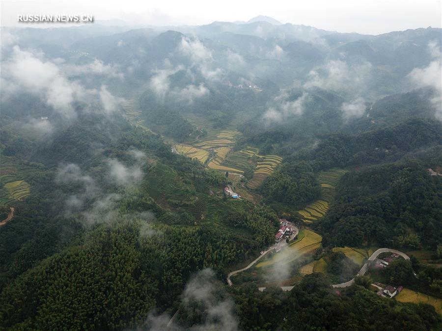 Шесть центральных провинций Китая -- Хэнань, Шаньдун, Хубэй, Хунань, Аньхой и Цзянси -- играют важнейшую роль в поддержании экологического благополучия страны. 