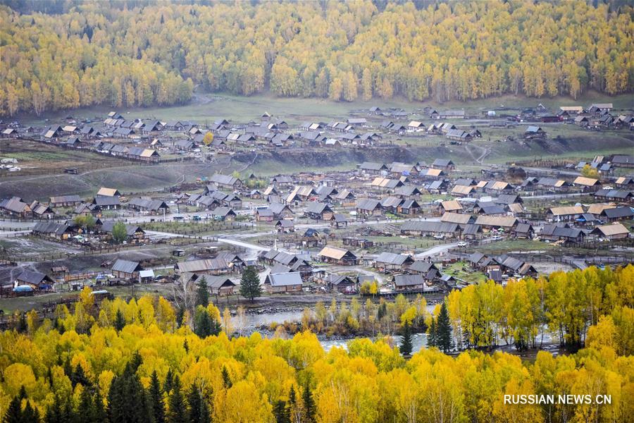 Осень пришла в ландшафтный парк Хэму в округе Алтай /Синьцзян-Уйгурский АР, Северо-Западный Китай/. 