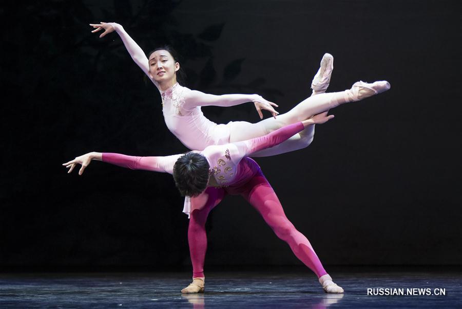 Балетная труппа из Гуанчжоу выступила на международном фестивале танца в Торонто