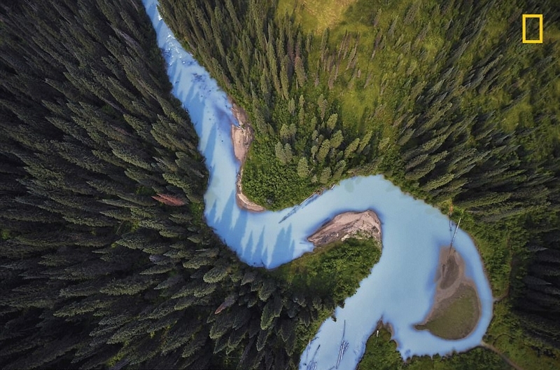 National Geographic показал лучшие фото природы 2017