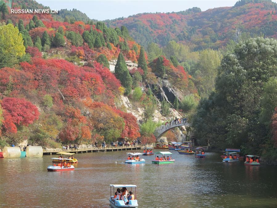 Осенний облик 'Долины красных листьев' в провинции Шаньдун