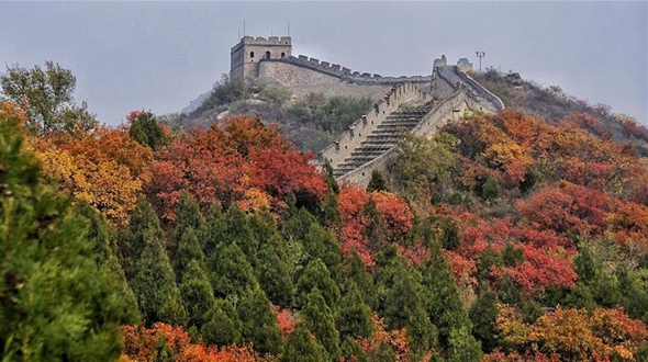 Разноцветные листья у участка Бадалин Великой Китайской стены