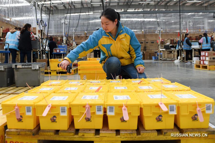 Удобно и экологично -- 'коробки экспресс-доставки' замещают бумажные аналоги в Китае