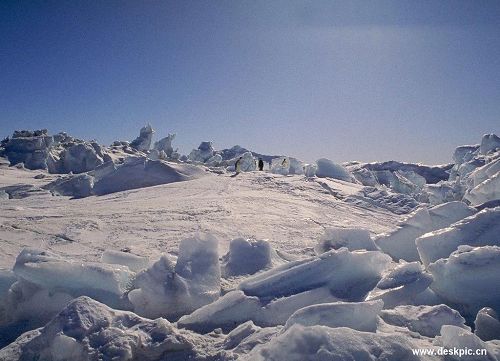 la Antártica 6