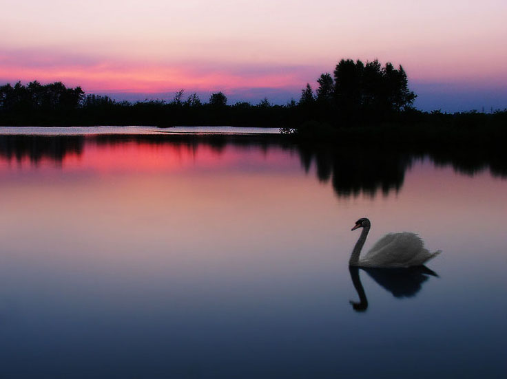 Momentos maravillosos de la naturaleza 005