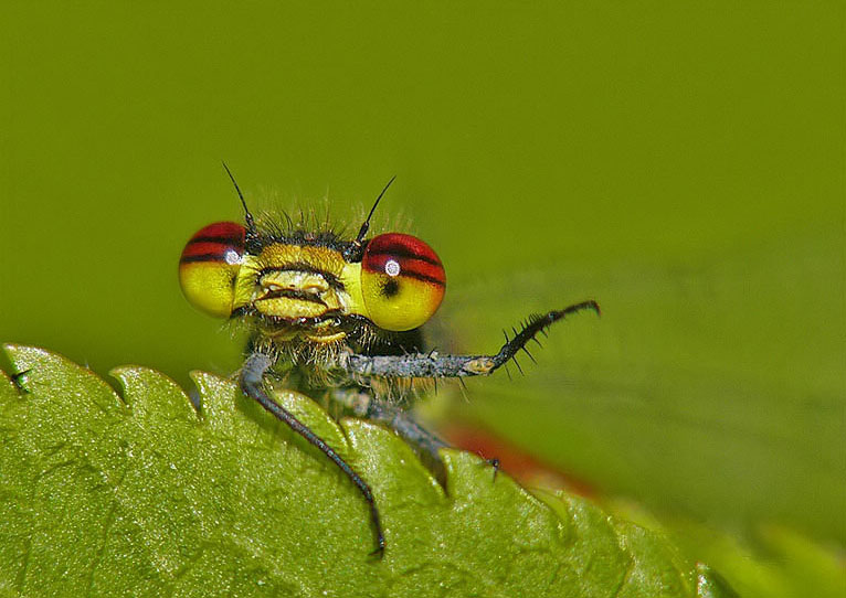 Momentos maravillosos de la naturaleza 007