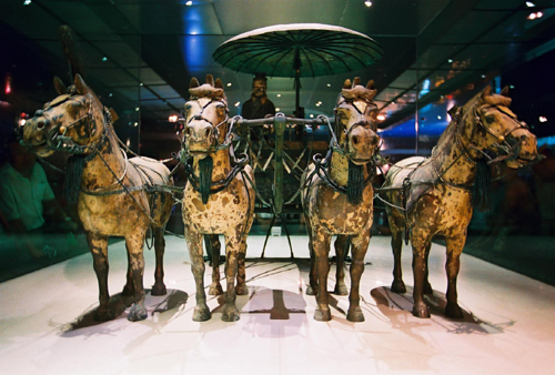 Museo de Guerreros y Caballos de Terracota de Qinshihuang3