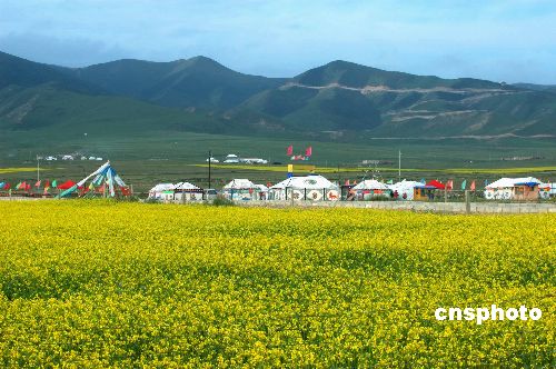 Asombroso paisaje del Lago Qinghai 1