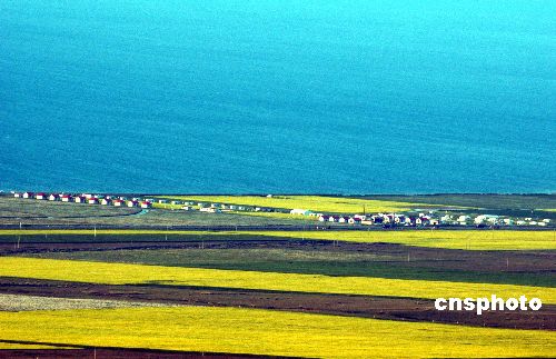 Asombroso paisaje del Lago Qinghai 2