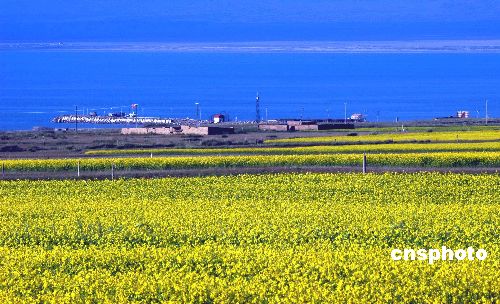 Asombroso paisaje del Lago Qinghai 3