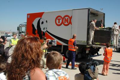 Pareja de pandas gigantes de China llega a Madrid 3