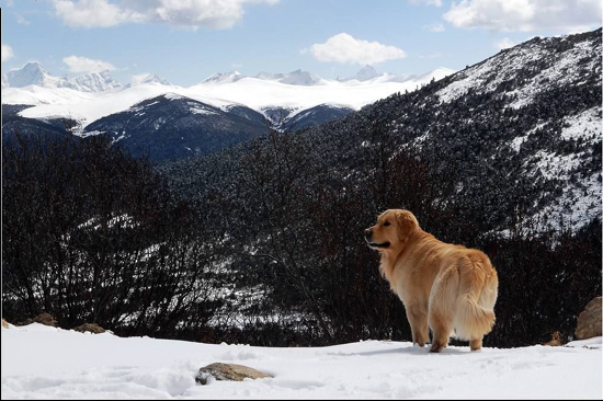 Viajar al Tíbet en invierno1