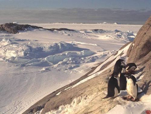 En el Polo sur, el punto extremo de la Tierra 009