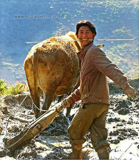  vida rural china en obras fotográficas1