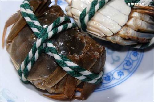 Otoño es tiempo para comer cangrejos 009