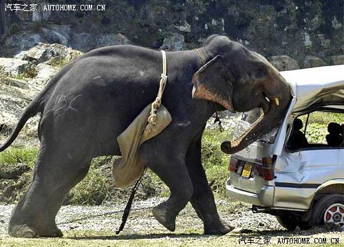 Accidentes por pura suerte 005