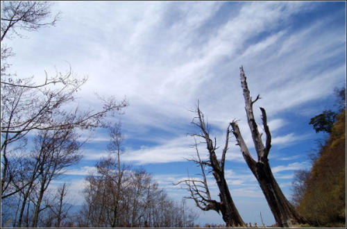 Paisaje encantador de Taiwán 19