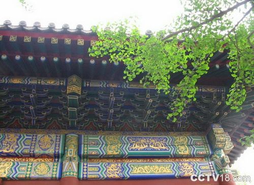 Templo Hongluo en oto?o 5