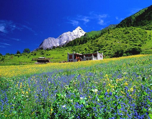 Monte Siguniang, los Alpes de China8