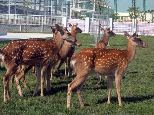 Medio ambiente en Parque de Industria Química de Shanghai mejora 2