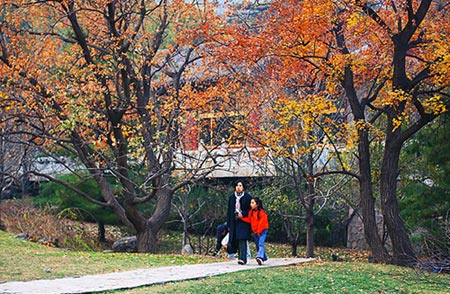 Otoño soleado de Beijing 6