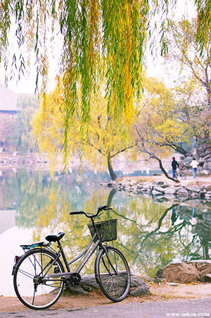 Otoño soleado de Beijing 11