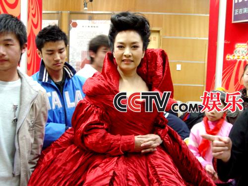 Peng Liyuan, Xi Jinping 4