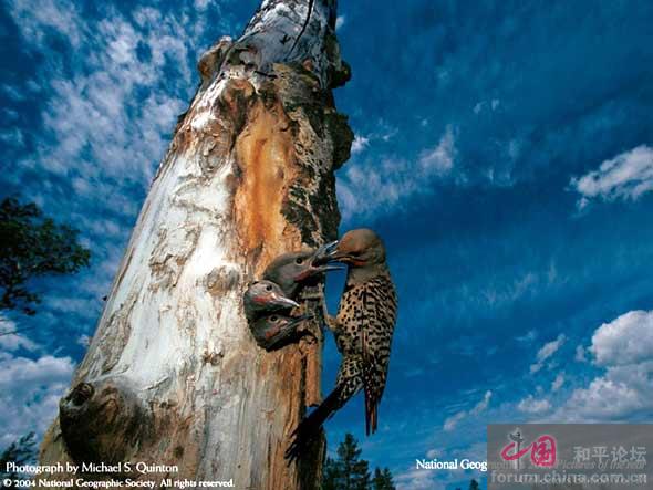 Grandes momentos de la naturaleza 011