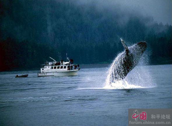 Grandes momentos de la naturaleza 016