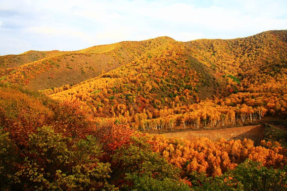 Praderas de Bashang en Otoño 8