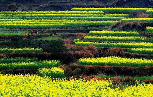 La aldea más hermosa de China11