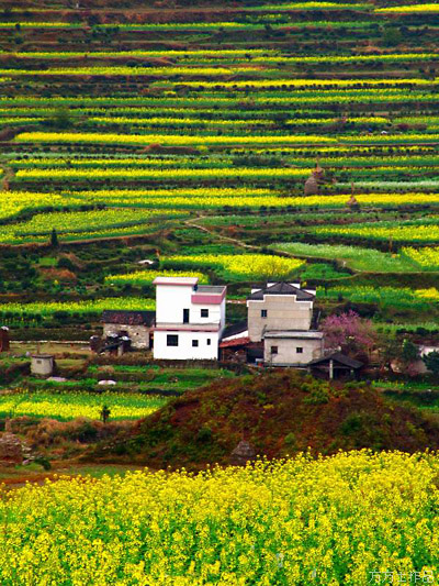 La aldea más hermosa de China5