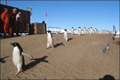 base antártica 7