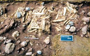 Descuben fósil humano de más de dos millones de años de antigüedad en China 2