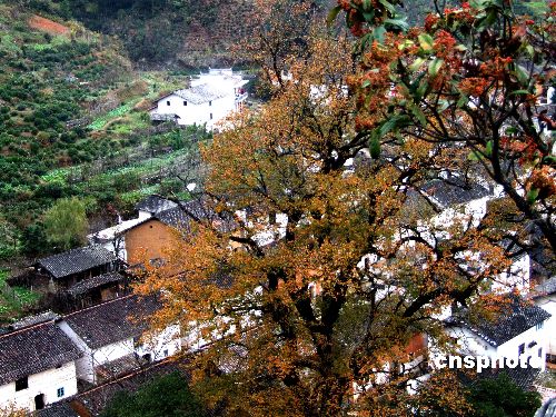 Invierno encantador en Wuyuan, pueblo más hermoso en China 4