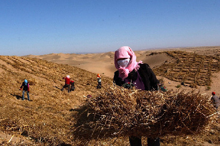 Topográficamente, China desciende de oeste a este, y el noroeste suele sufrir sequías y disfrutar de pocas lluvias. En la foto, mujeres fijando la arena con pajas de trigo, en el distrito de Minqin, provincia de Gansu.